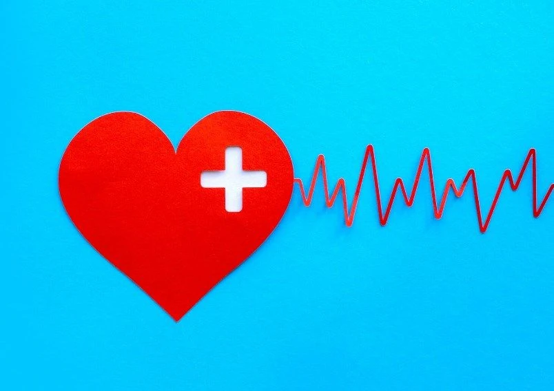 «Спорт высших достижений невозможен без развития научных подходов»